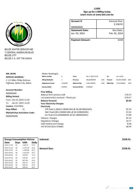Belize Electricity Limited electricity business utility bill template in Word and PDF format